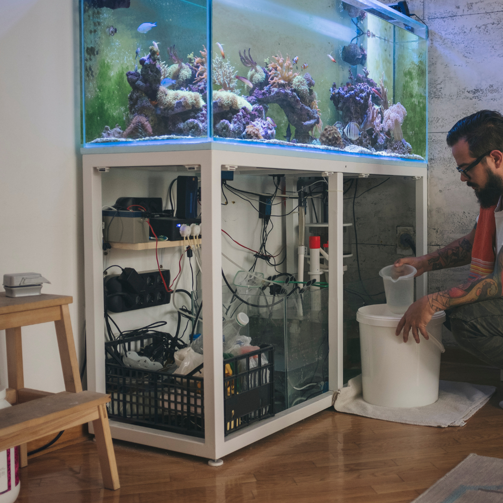 Visual Reference: Top 6 Dosing Pumps For Saltwater Aquariums