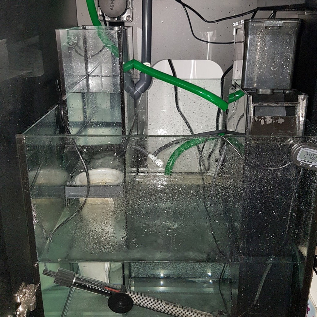 Aquarium sump pump best sale