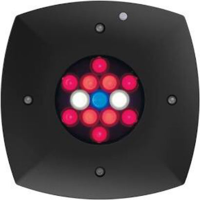 Prime 16 LED Fuge Light - Black Body