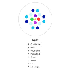 Prime 16 HD Reef Light - Black Body