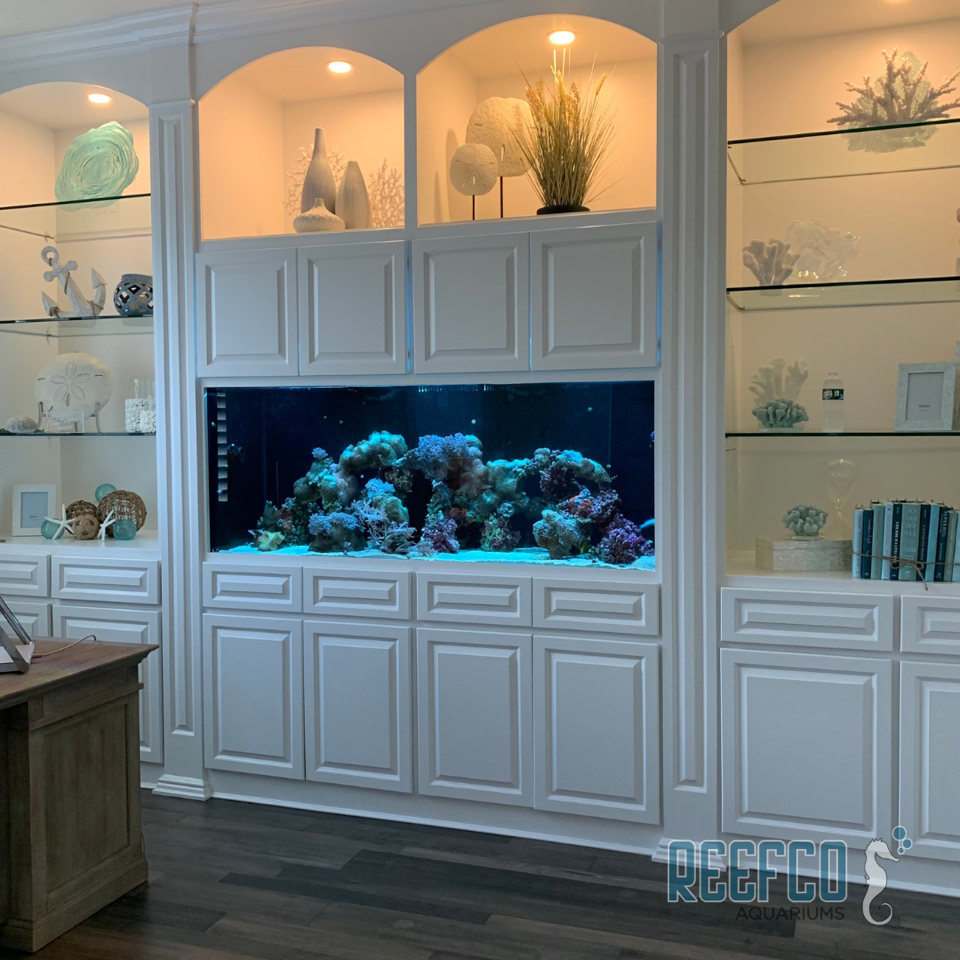 Why Does Water Quality Matter When Setting Up An Aquarium? – Reefco ... - Maintaining Stable Water Chemistry In Small Community Aquariums