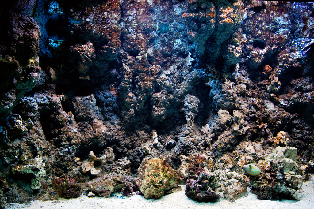 Aquascaping Your Reef Aquarium Like A Pro! – Reefco Aquariums