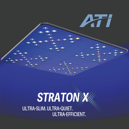 ATI Straton X LED Light
