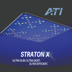 ATI Straton X LED Light