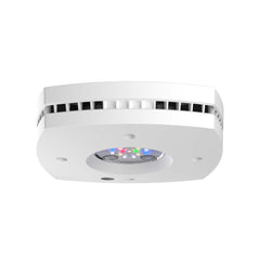 Prime 16 HD Reef Light - White Body