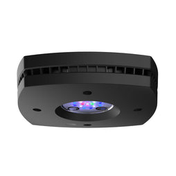 Prime 16 HD Reef Light - Black Body