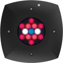 Prime 16 LED Fuge Light - Black Body