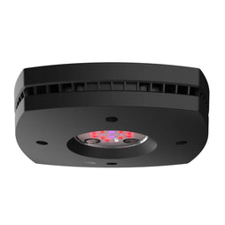 Prime 16 LED Fuge Light - Black Body