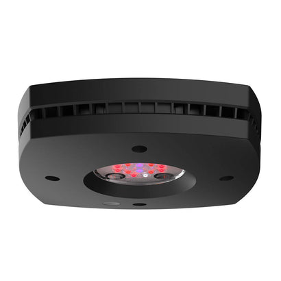 Prime 16 LED Fuge Light - Black Body