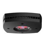 Prime 16 LED Fuge Light - Black Body